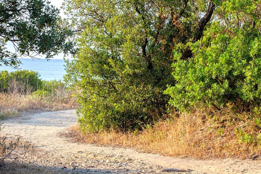 Bagheera Village Naturiste Linguizzetta المظهر الخارجي الصورة